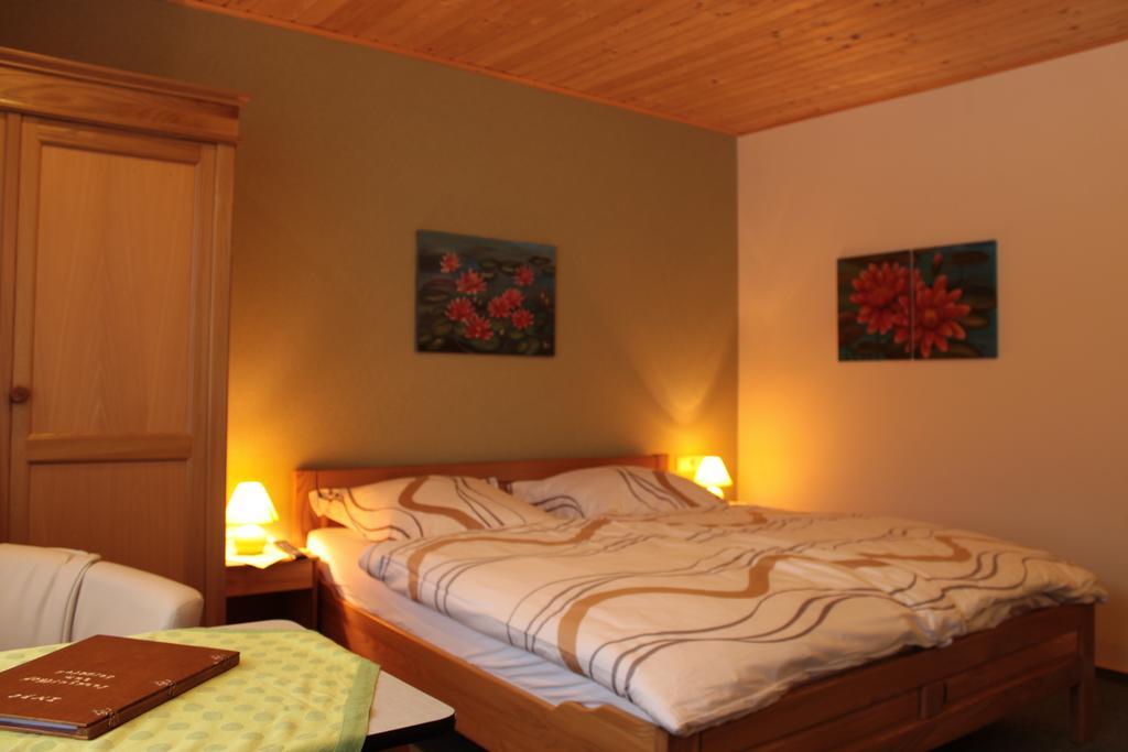 ホテルLandhaus Zum Sorpetal シュマレンベルク 部屋 写真